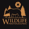 Icono de programa: Wildlife Photographic: Na…
