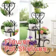 Icon of program: Iron Flower Pot Shelves