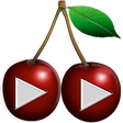 Icon of program: ShariPlayer