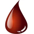 Icon of program: Blood Finder
