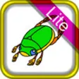 Icon of program: Insect Coloring for Kids …