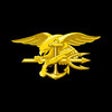 Icon of program: Official Navy SEAL Traini…