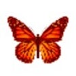 Icon of program: Fluttabyes