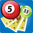 Icon of program: Pocket Bingo Free