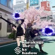 Icon of program: Karakage The Sky Shadow