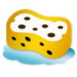 Icon of program: TidyTop