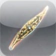 Icon of program: Phyto