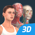 Icono de programa: Human body (female) educa…