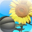 Icono de programa: Roly-Poly