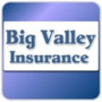 Icono de programa: Big Valley Insurance