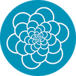 Icono de programa: Mirrograph 2 free