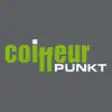 Icon of program: Coiffeur Punkt