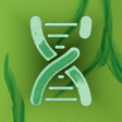 Icon of program: Evo Flora: Plant Evolutio…
