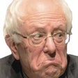 Icon of program: Bernie Sanders Sticker Pa…