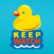 Icono de programa: Home Pool Safety