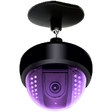 Icono de programa: IP Camviewer for Bosch
