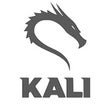 Icon of program: Kali Linux Penetration Te…