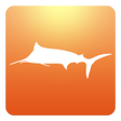 Icon of program: RipCharts