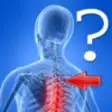 Icon of program: Anatomy Spine Quiz