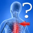 Icon of program: Anatomy Spine Quiz