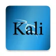 Icon of program: Kali Linux Installation G…