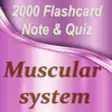 Icon of program: Muscular System Exam Revi…