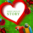 Icon of program: Parrot Insta DP