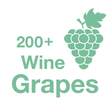 Icono de programa: 200+ Wine Grapes