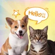 Icon of program: Dog  Cat Funny Translator