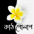 Icon of program: কঠ গলপ - উপনযস