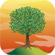 Cash Tree icon