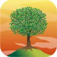 Icon of program: Cash Tree