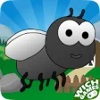 Icon of program: Fly Chaos - Insect Smashe…