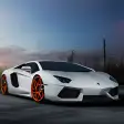 Icon of program: Driving Lamborghini Avent…