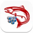 Icon of program: SalmonPDM for iPad