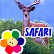 Icon of program: Safari for Windows 10