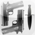 Icono de programa: GunRack - Firearm Invento…