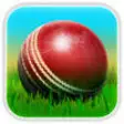 Icon of program: Cricket 3D : World Street…