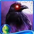 Icon of program: Mystery Case Files: Raven…