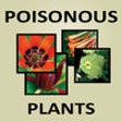 Icono de programa: Poisonous Plants Flash Ca…