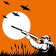 Icono de programa: Birds Mimic