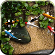Icon of program: Koi Free Live Wallpaper