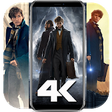 Icono de programa: Newt Scamander Fantastic …
