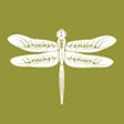 Dreampad Sleep icon