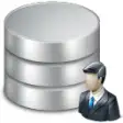 Icon of program: Customer Orders Database …
