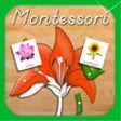 Icon of program: Parts of Plants - A Monte…