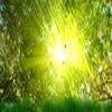 Icon of program: Golden Nature Screensaver
