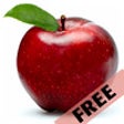 Icon of program: Toddler Flashcards (Free)