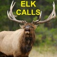 Icon of program: Elk Calls & Elk Bugle for…