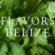 Icono de programa: Flavors of Belize